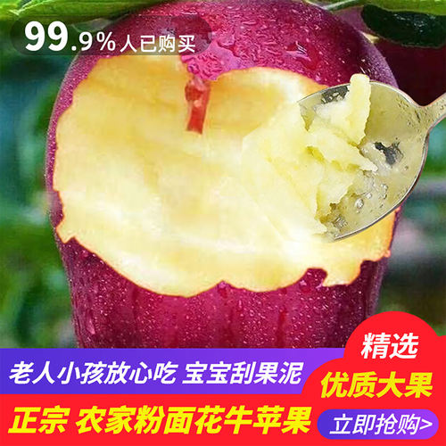 26年现摘粉面沙甜花牛苹果婴儿老人宝宝刮泥吃蛇红果新鲜水果10斤