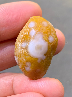 天然戈壁石 阿拉善石 花眼玛瑙石 天然花点眼睛石 奇石