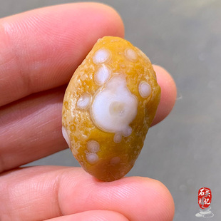 天然戈壁石 阿拉善石 花眼玛瑙石 天然花点眼睛石 奇石