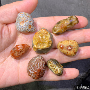 天然戈壁石 外蒙玛瑙原石 奇石 筋脉石 精品花脉 经脉 阿拉善石