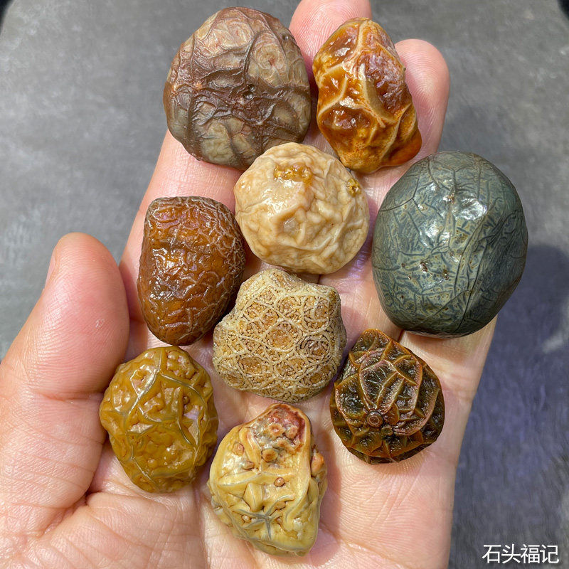 天然戈壁阿拉善奇石 玛瑙原石 经脉石 造型象形观赏石 随形DIY