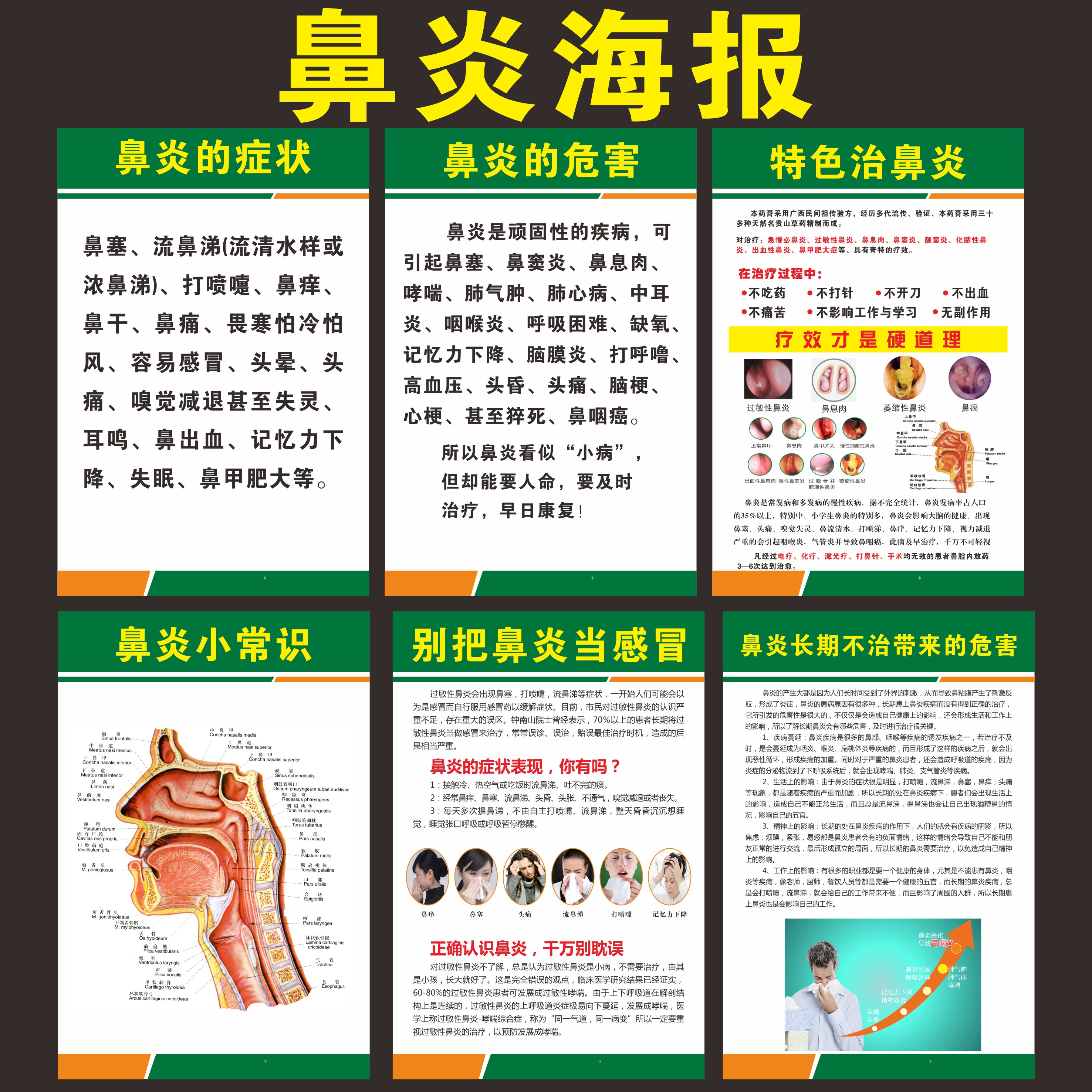 鼻腔结构图解剖挂图耳鼻喉科医院鼻炎科普知识海报