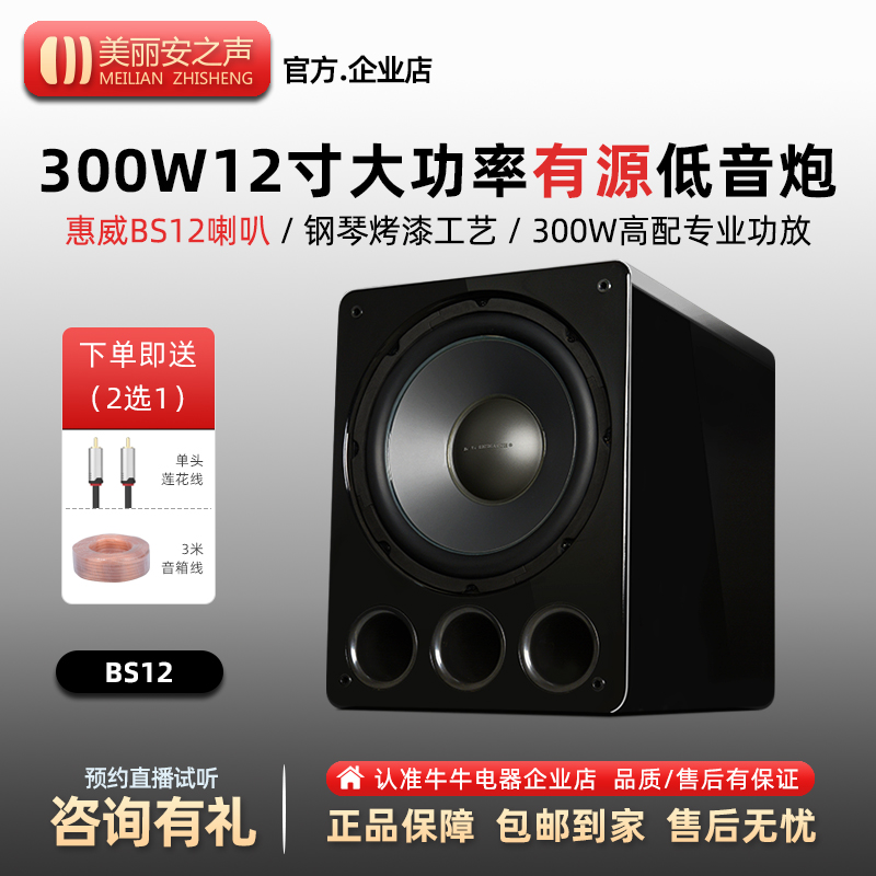 300W有源家庭影院低音炮