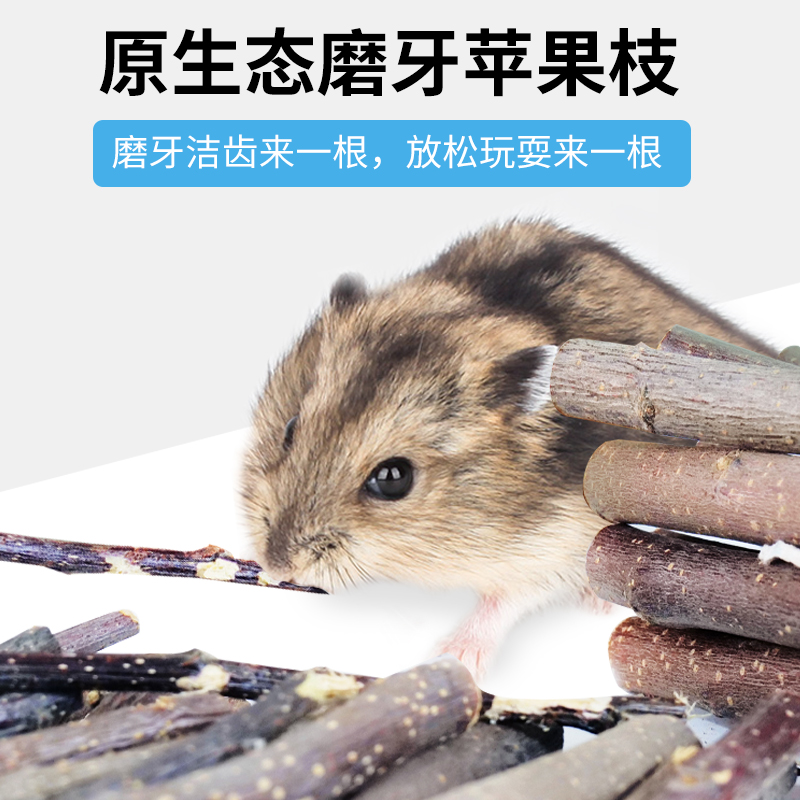 COMBEATS苹果枝磨牙利器甜竹