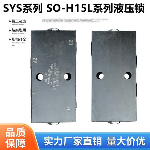 SYS-10HSO-H15L双向油缸液压锁