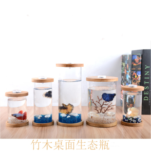 竹木桌面生态瓶微景观缸热带鱼缸创意diy水族造景客厅鱼缸斗鱼缸