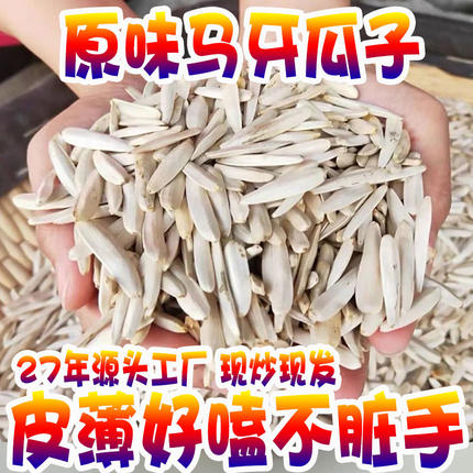 新疆特产小马牙瓜子牙签瓜子原味葵花籽月牙瓜子头茬新货追剧零食