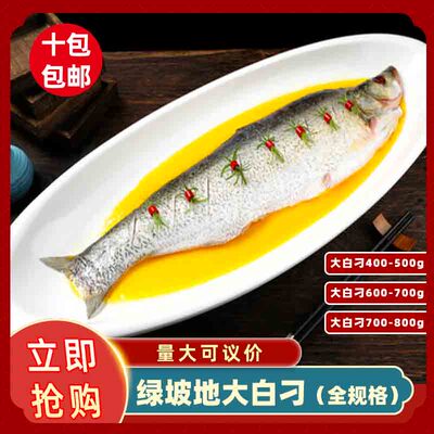 绿坡地白丝鱼700g-800g新鲜腌制酒店饭店餐饮特色半成品预制菜