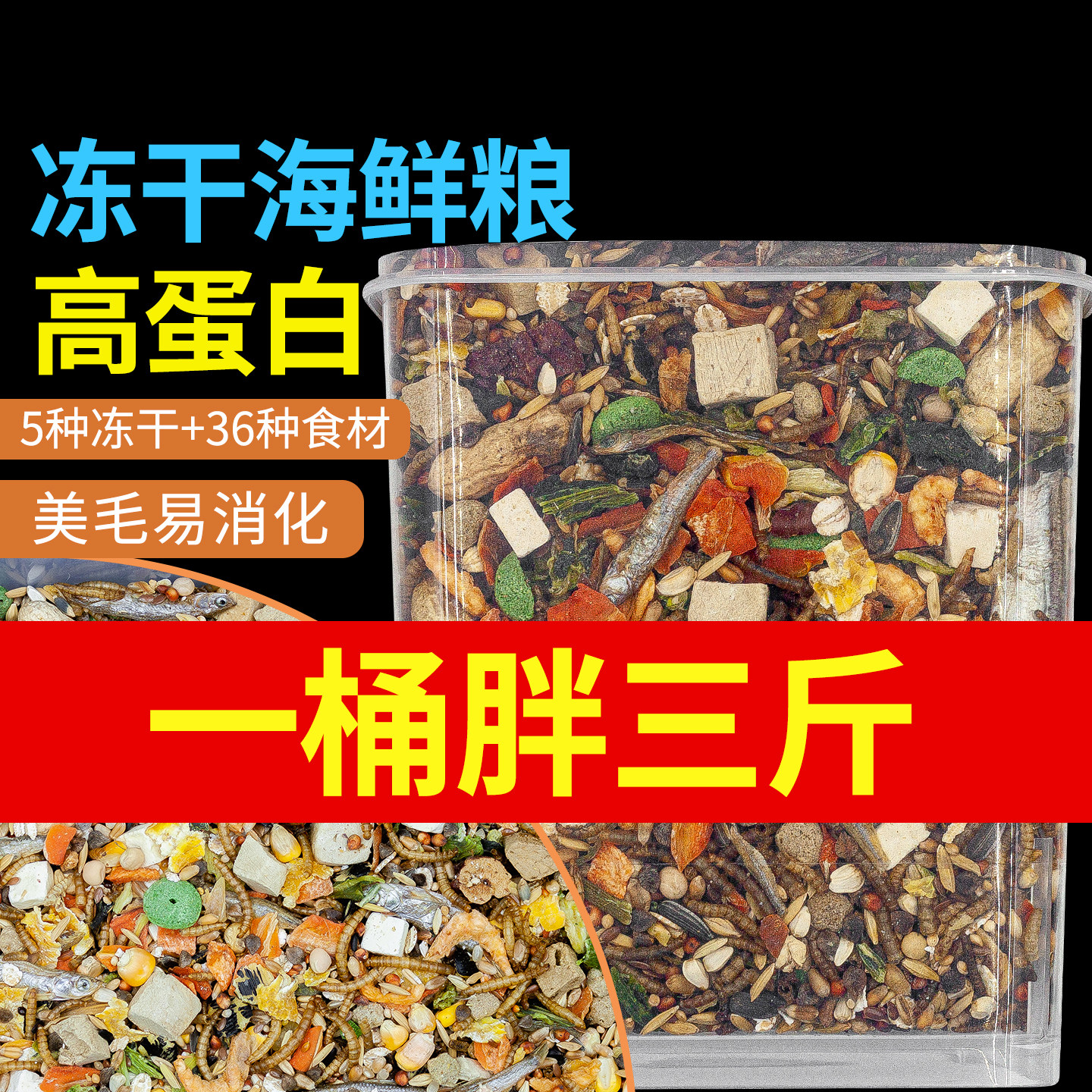 仓鼠鼠粮金丝熊冻干海鲜粮图片