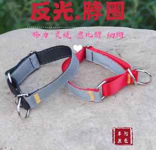 反光狗脖圈项圈格力灵缇慧比特细狗夜光脖圈可调节项圈中小型犬