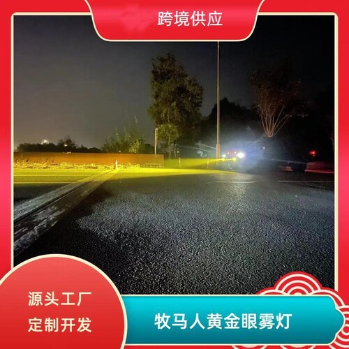 雾灯总成牧马人双透镜闪电黄金眼