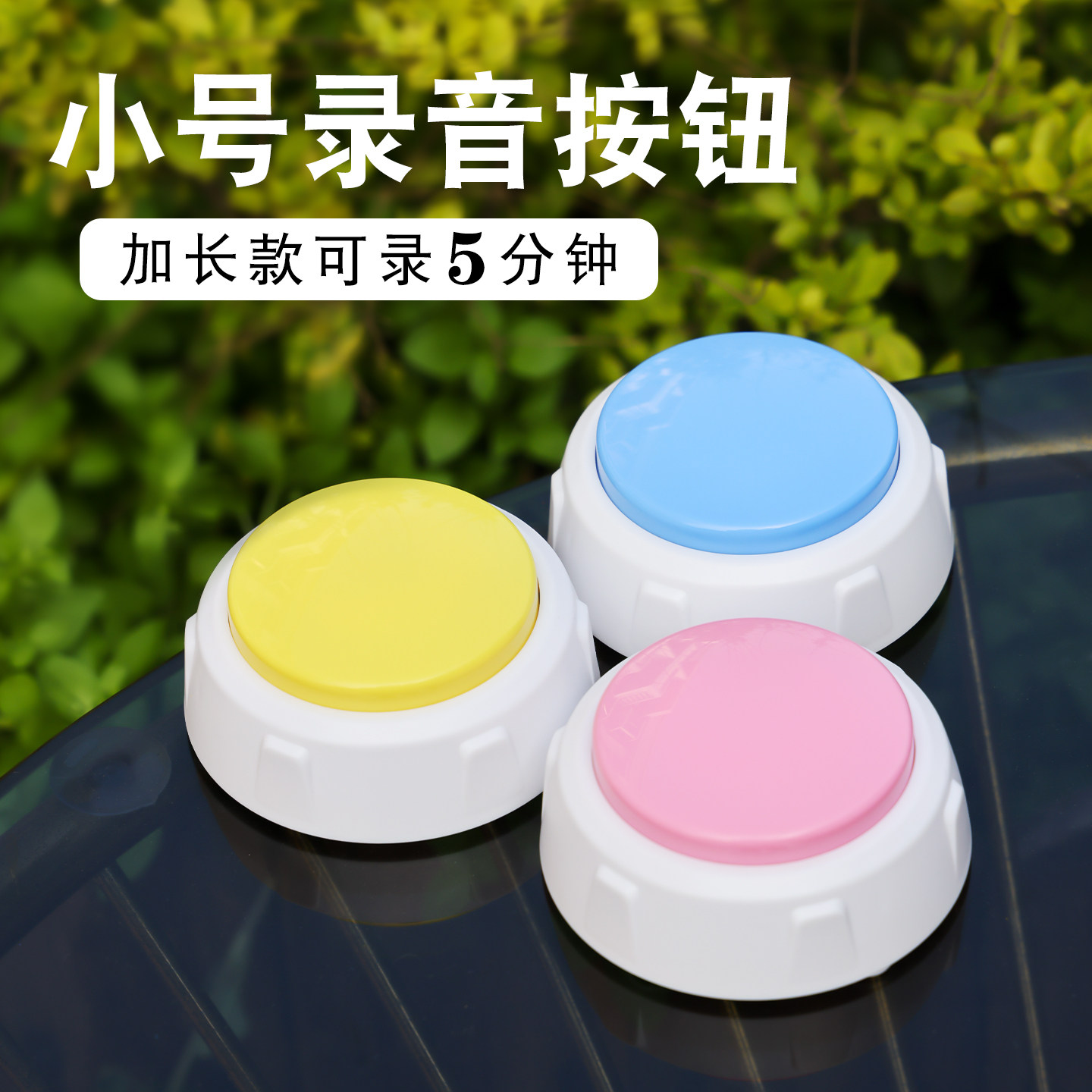 录音按钮5分钟宠物萌宠幼儿园倾听游戏互动发声音盒环创墙神器狗