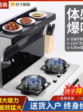 集成灶分体式无机箱变频无极变速