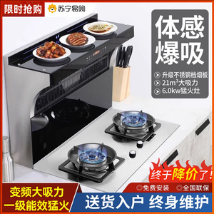 集成灶分体式无机箱变频无极变速