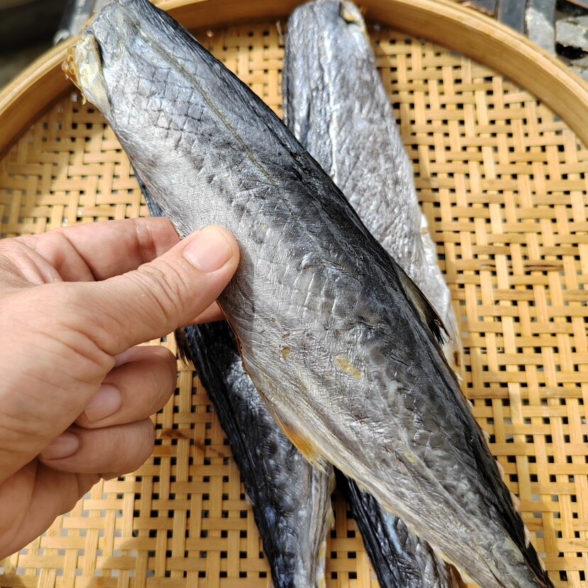 实肉马鲛咸鱼可清蒸可香煎海鲜干货海鲜干货
