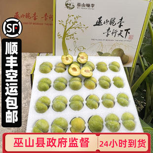 顺丰空运巫山脆李 重庆青脆李当季新鲜水果孕妇脱骨礼盒空心整箱5