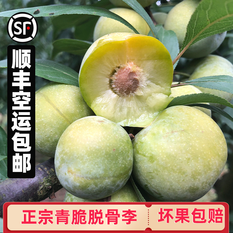 顺丰空运重庆青脆李四川土李子蜂糖新鲜水果孕妇脱骨空心巫山脆李