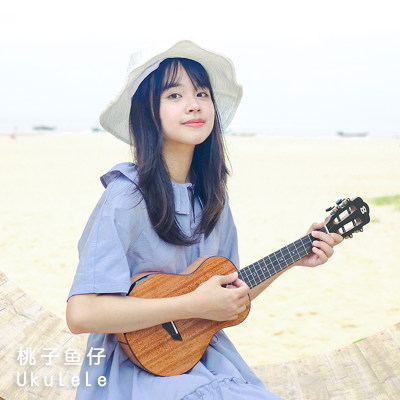 Brightsun艳阳102C小岛琴海龟桃花芯全单尤克里里桃子鱼仔ukulele