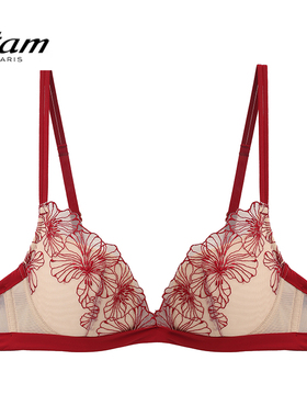 Etam内衣山茶花系列刺绣小胸聚拢法式复古浪漫蕾丝文胸W323DI0106