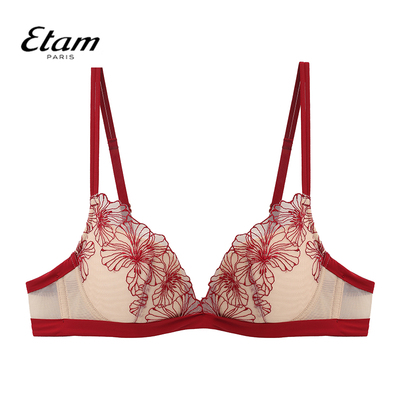 Etam内衣山茶花系列刺绣小胸聚拢法式复古浪漫蕾丝文胸W323DI0106