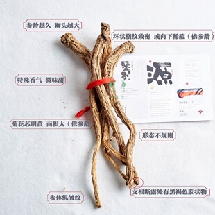 顺丰 振晋堂 野生潞党参 10年野生原条真空 品质食药 250g/袋