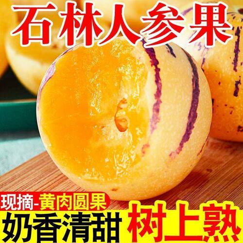 石林人参果黄肉奶香清甜树上熟