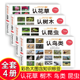 6岁看图识物识字书本早教书幼儿认字宝宝启蒙认知益智读物正版 童眼看世界全4册认花草树木昆虫鸟类彩色大图书籍儿童百科全书0