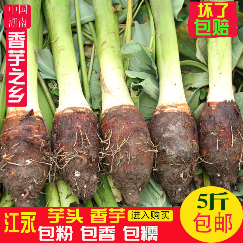 新鲜芋头正宗江永香芋香糯香芋