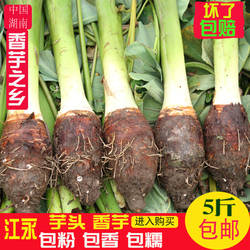 新鲜现挖大芋头正宗江永香芋湖南特产芋头扣肉广西荔浦香粉糯蔬菜