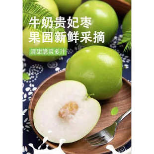 果农新鲜采摘大青枣牛奶贵妃枣果园直摘清甜脆爽多汁当季水果