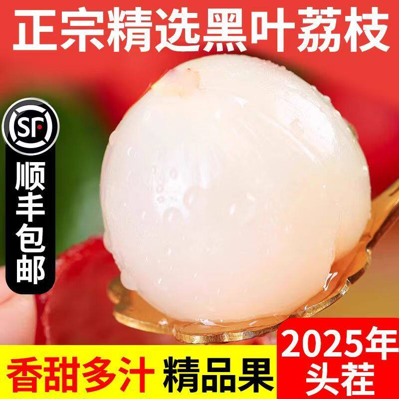 畅销生鲜黑叶荔枝乌叶品种鲜果果形圆润果肉紧实新鲜直达顺丰包邮