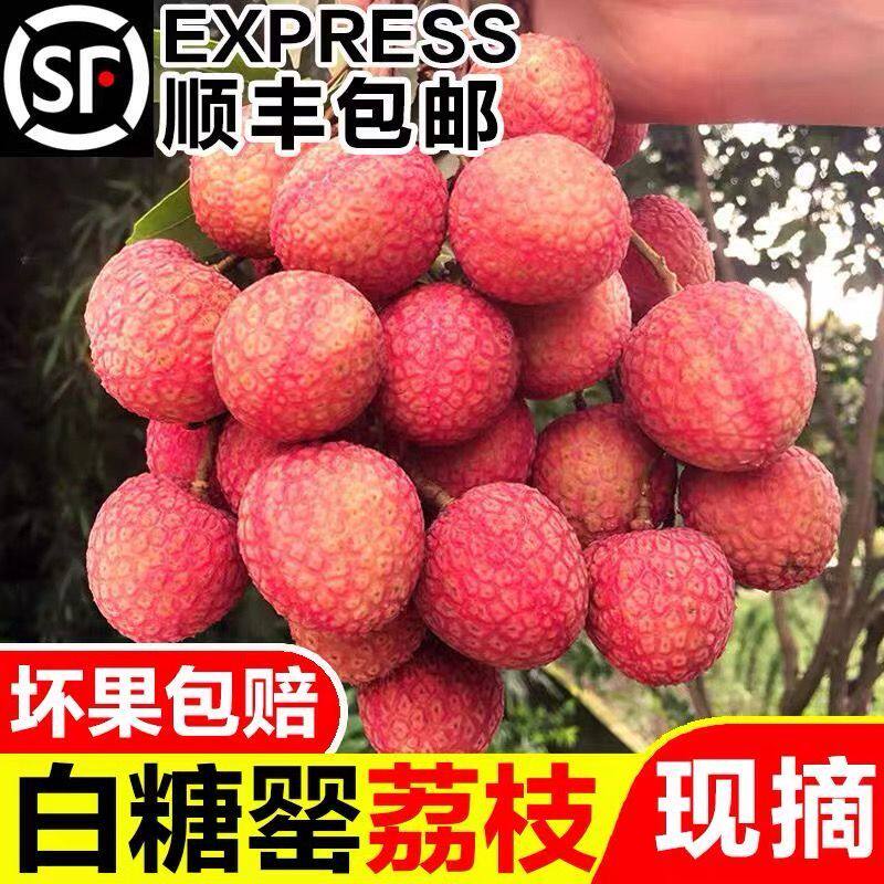 广东茂名白糖罂荔枝新鲜现摘 高州根子原产地冷链包邮坏果包赔