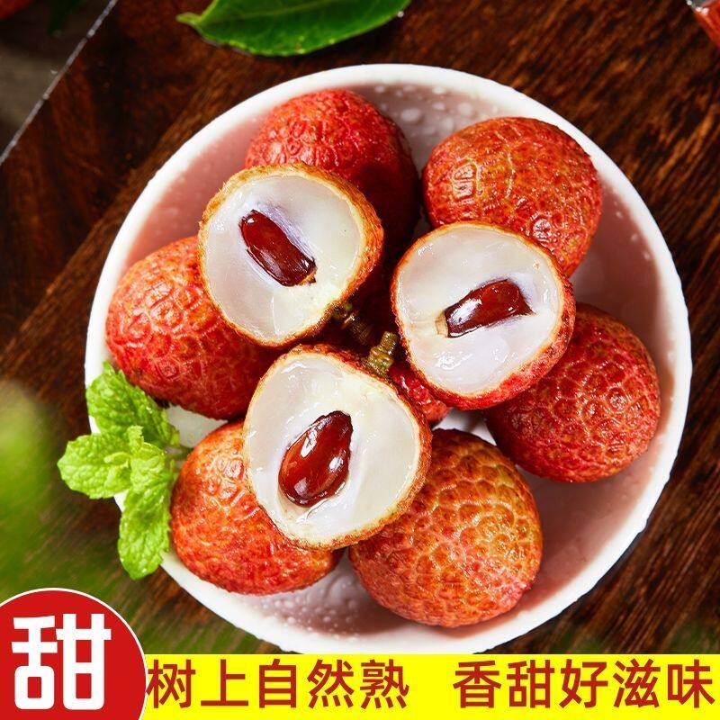 正宗茂名高州根子白糖罂荔枝 贡园古树荔枝礼盒 坏果包赔