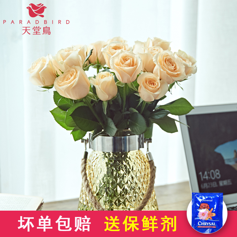 昆明红玫瑰花鲜花批发一扎云南鲜花基地直发鲜花速递插花家用