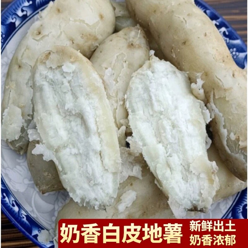 广西牛奶人参地薯奶香白皮白心番薯正宗板栗粉糯香甜新鲜红薯农家
