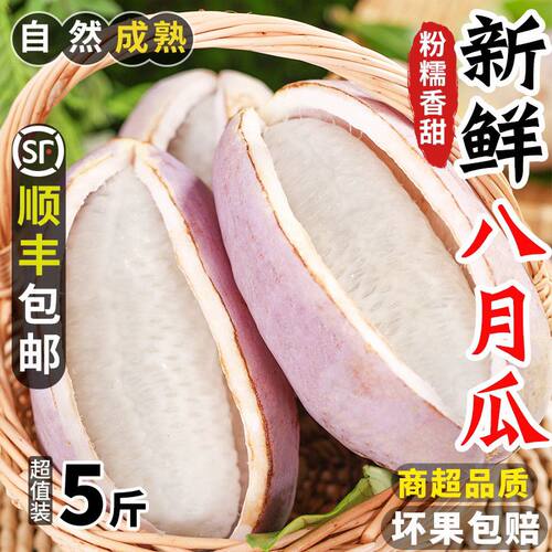 顺丰）云南八月瓜新鲜水果当季现摘现发孕妇鲜果稀有当季粉糯香甜