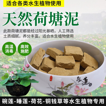 天然荷塘泥碗莲睡莲专用荷花泥铜钱草植物营养土淤泥河泥水培种植