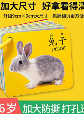 动物识字卡片宝宝早教启蒙