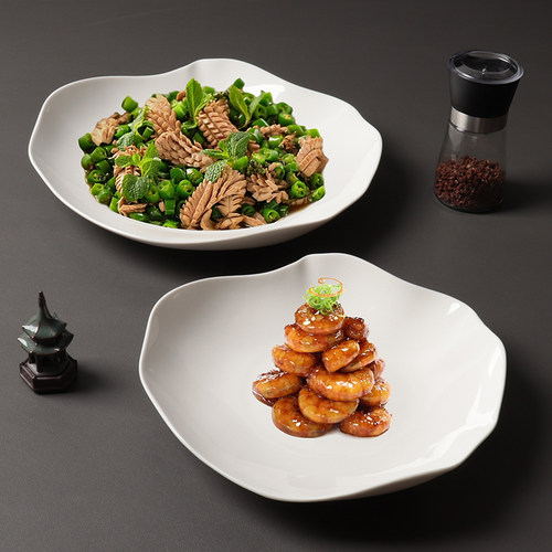 汤盘陶瓷不规则异形冷热菜两用