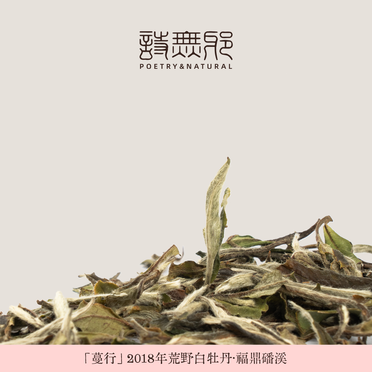 『蔓行』2018年荒野白牡丹 福鼎磻溪老白茶茶叶 诗无邪丽宝