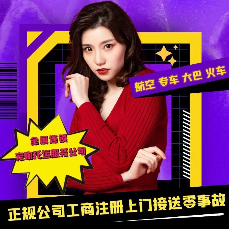 宠物托运全国接送安全价格便宜