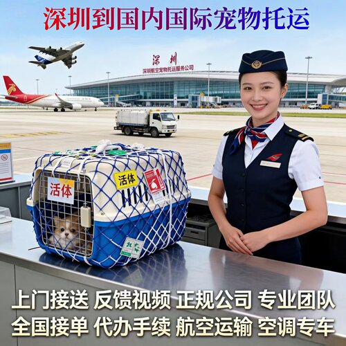 宠物托运服务上门接送代办手续