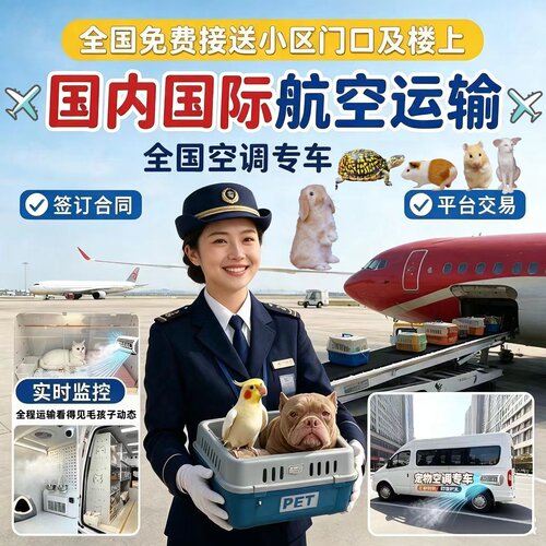 宠物托运国内国际代办手续