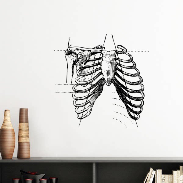 肋骨人体胸腔骨骼素描墙贴壁纸房间贴花