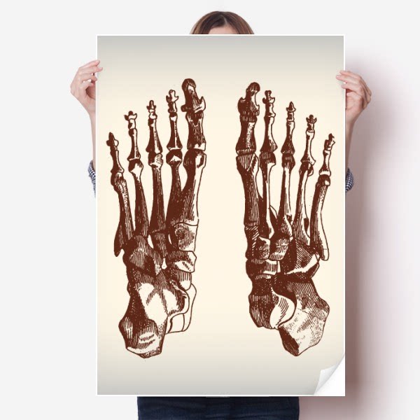 脚掌骨骼人体素描海报贴纸80x55cm墙贴纸卧室家居装饰