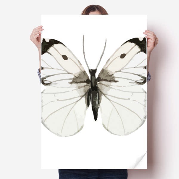 米白翅膀蝴蝶剪影图案海报贴纸80x55cm墙贴纸卧室家居装饰