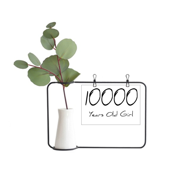 10000岁女孩年龄金属相框陶瓷花瓶装饰