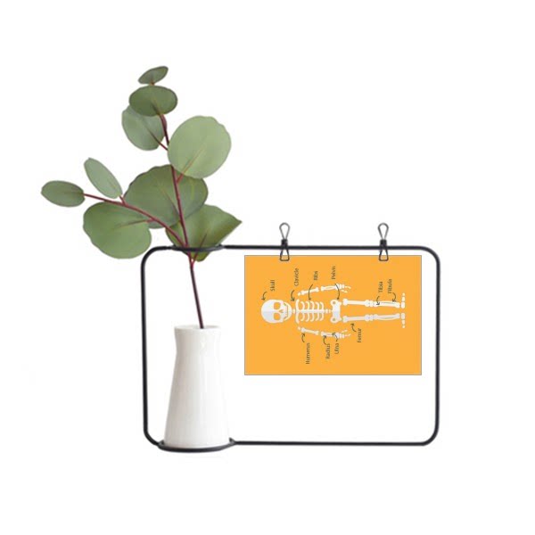 卡通人类骨骼插画金属相框陶瓷花瓶装饰