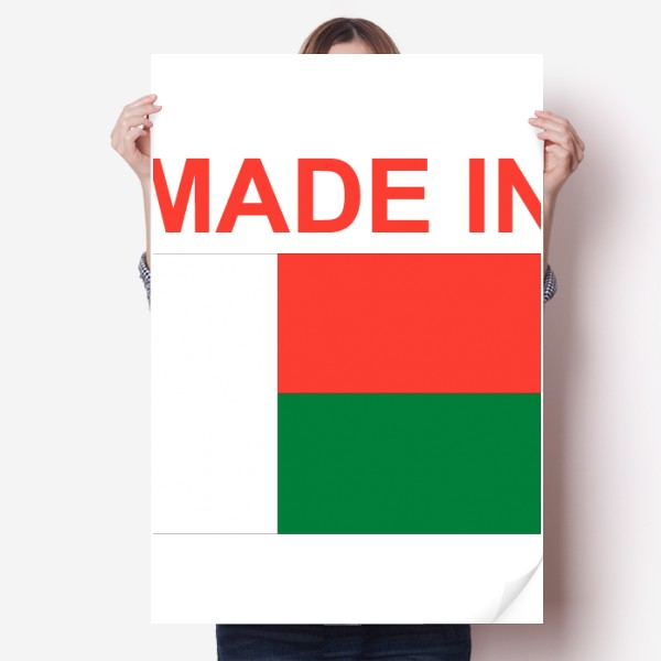 马达加斯加国旗国家制造海报贴纸80x55cm墙贴纸卧室家居装饰