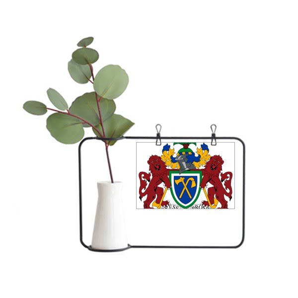 冈比亚非洲国徽金属相框陶瓷花瓶装饰